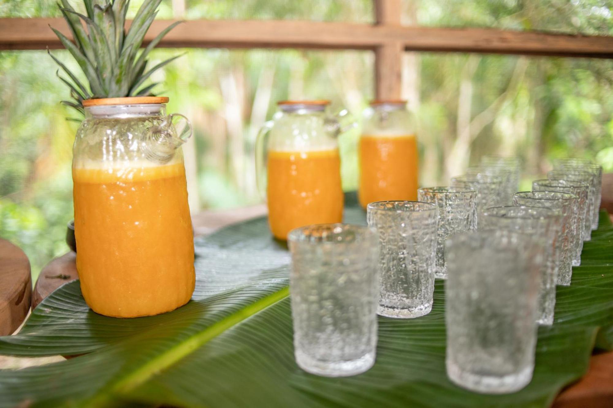 Awaken Amazonian Healing Resort All Inclusive Iquitos Eksteriør bilde