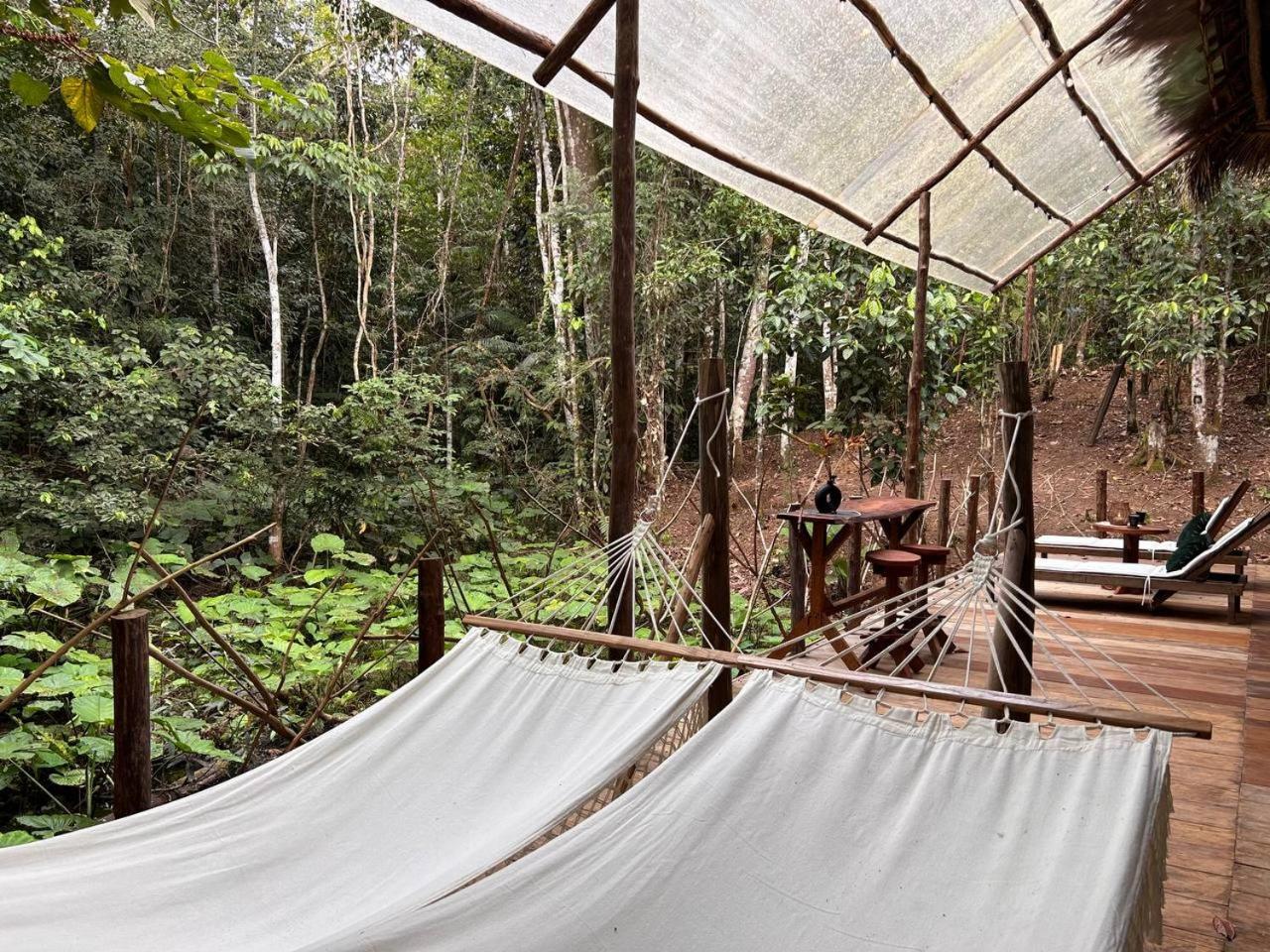 Awaken Amazonian Healing Resort All Inclusive Iquitos Rom bilde